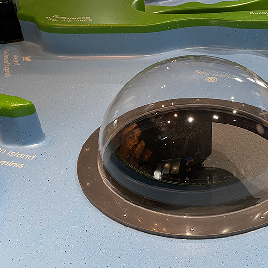 close up of the water table dome